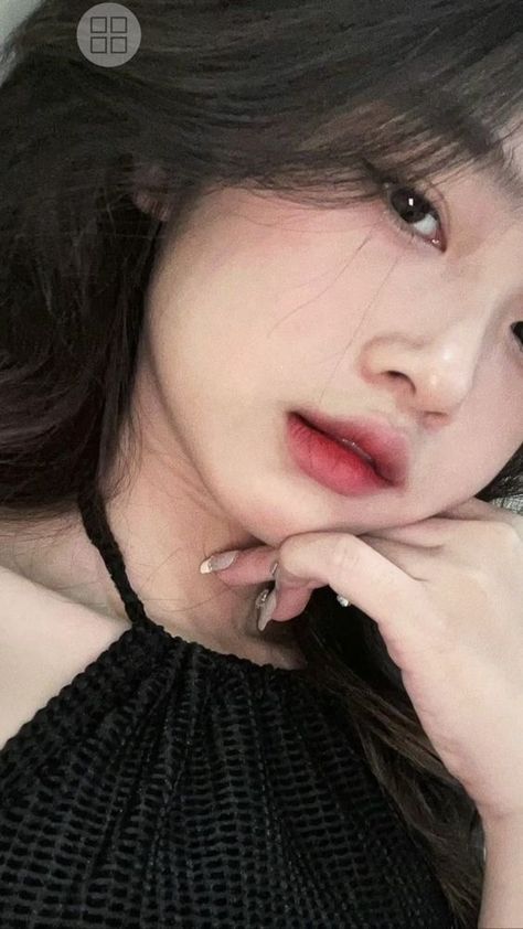 芳草地电影免费观看